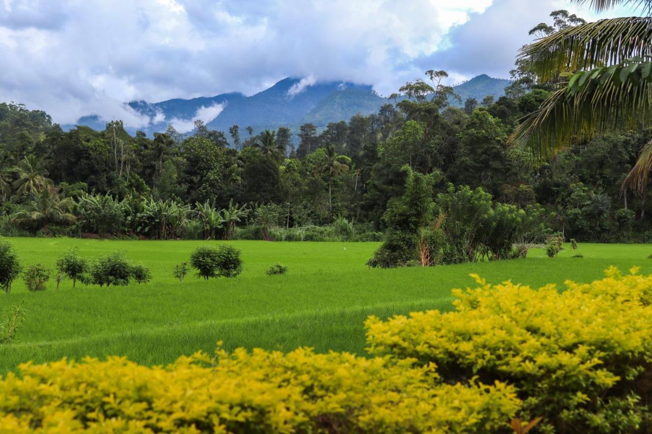 Ella Nature Valley Homestay Exteriér fotografie
