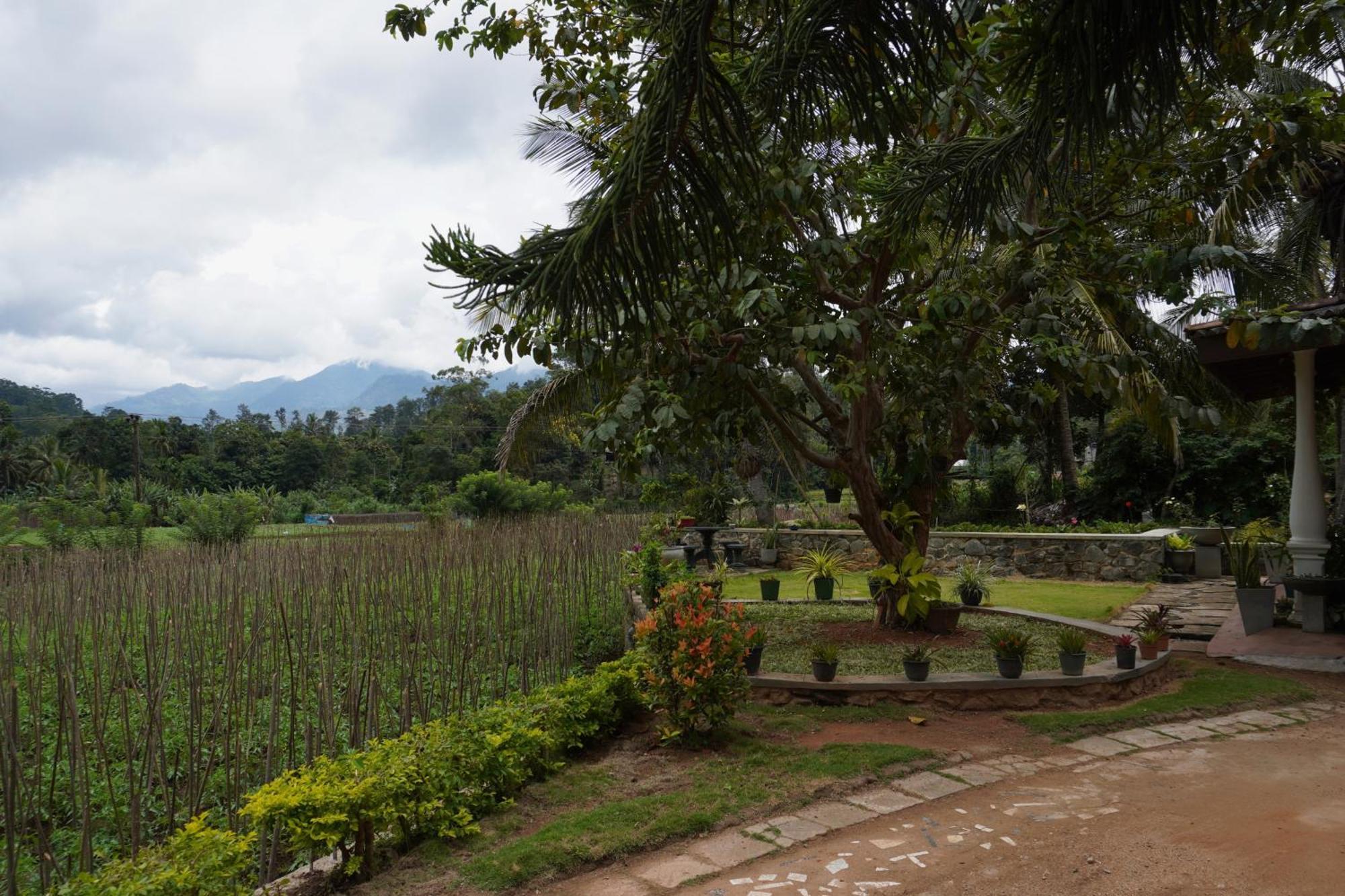Ella Nature Valley Homestay Exteriér fotografie