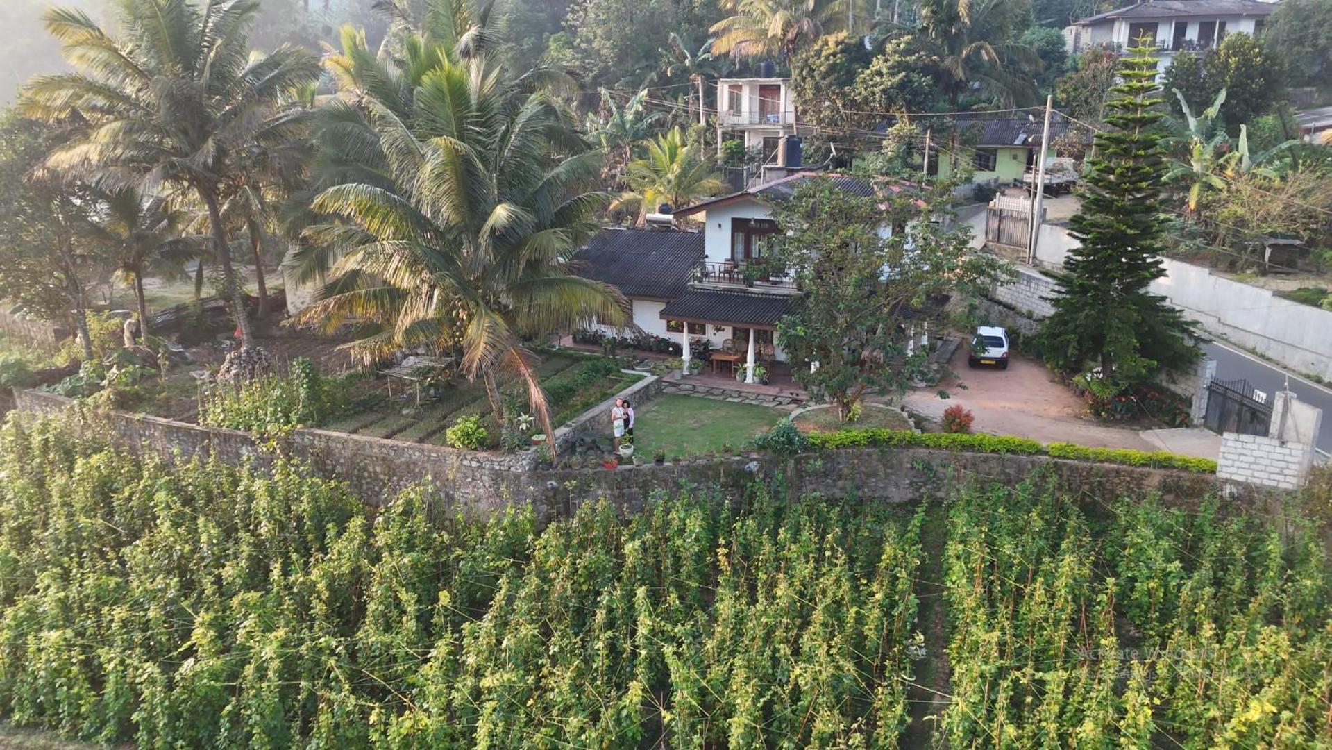 Ella Nature Valley Homestay Exteriér fotografie