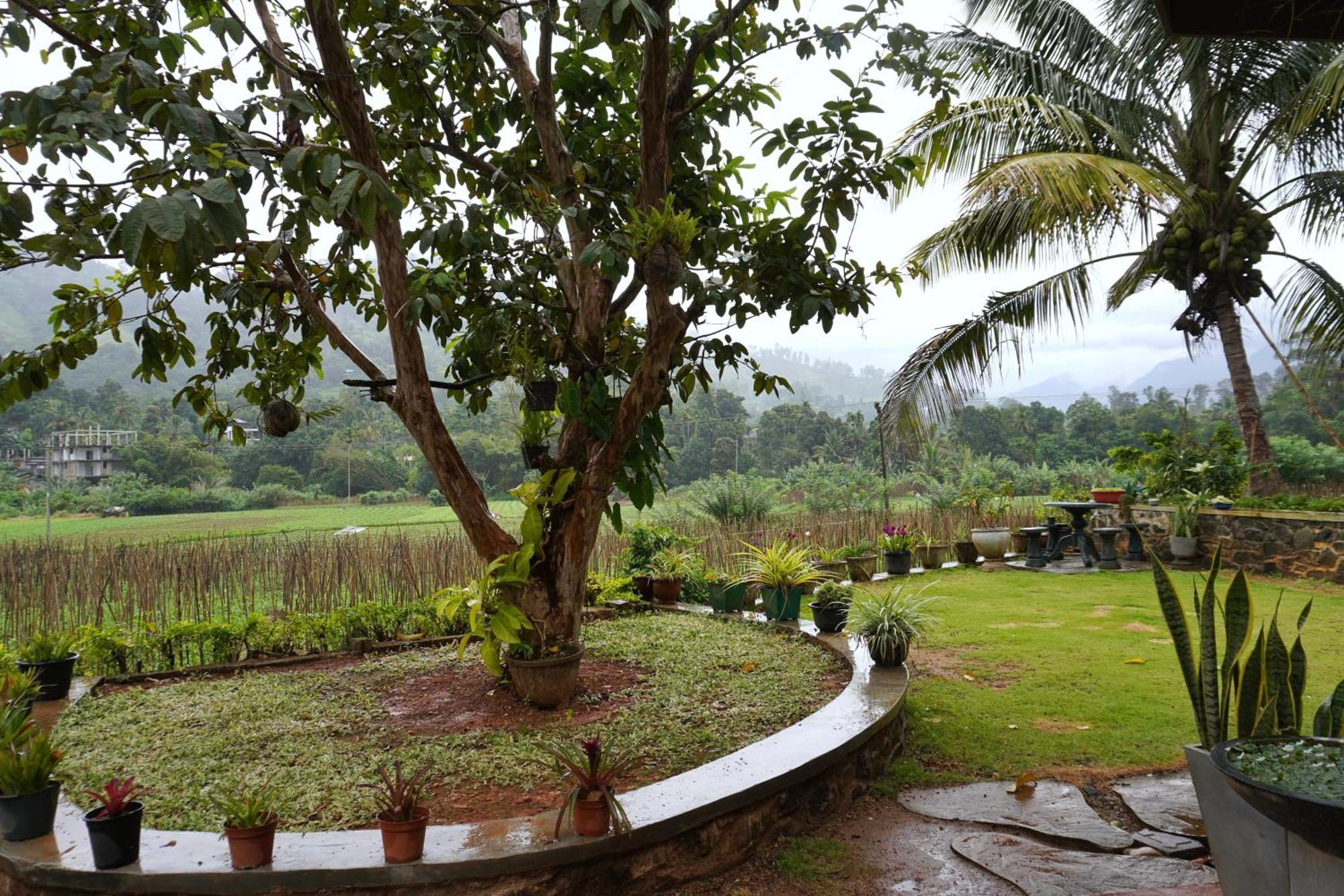 Ella Nature Valley Homestay Exteriér fotografie
