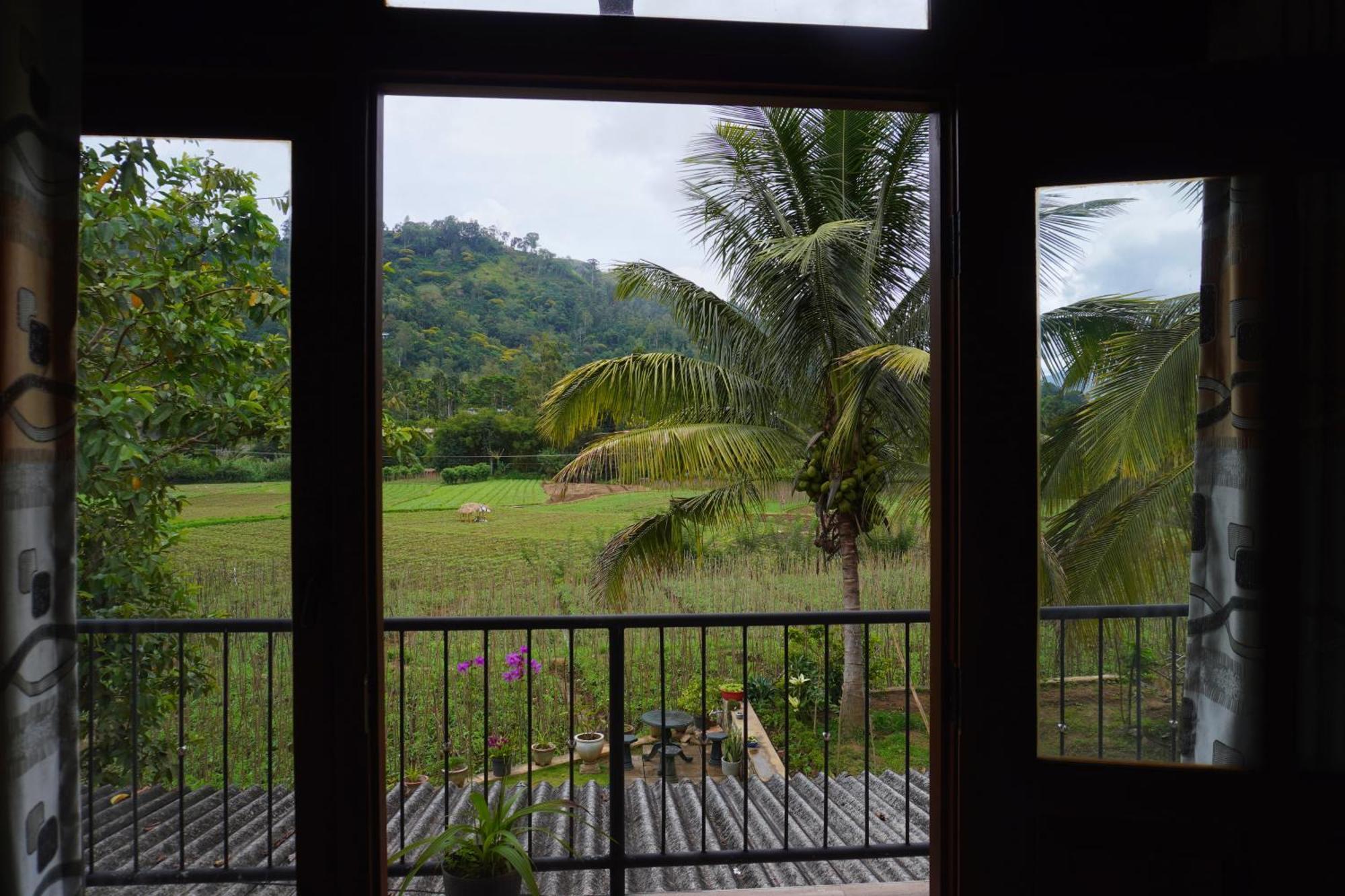 Ella Nature Valley Homestay Exteriér fotografie