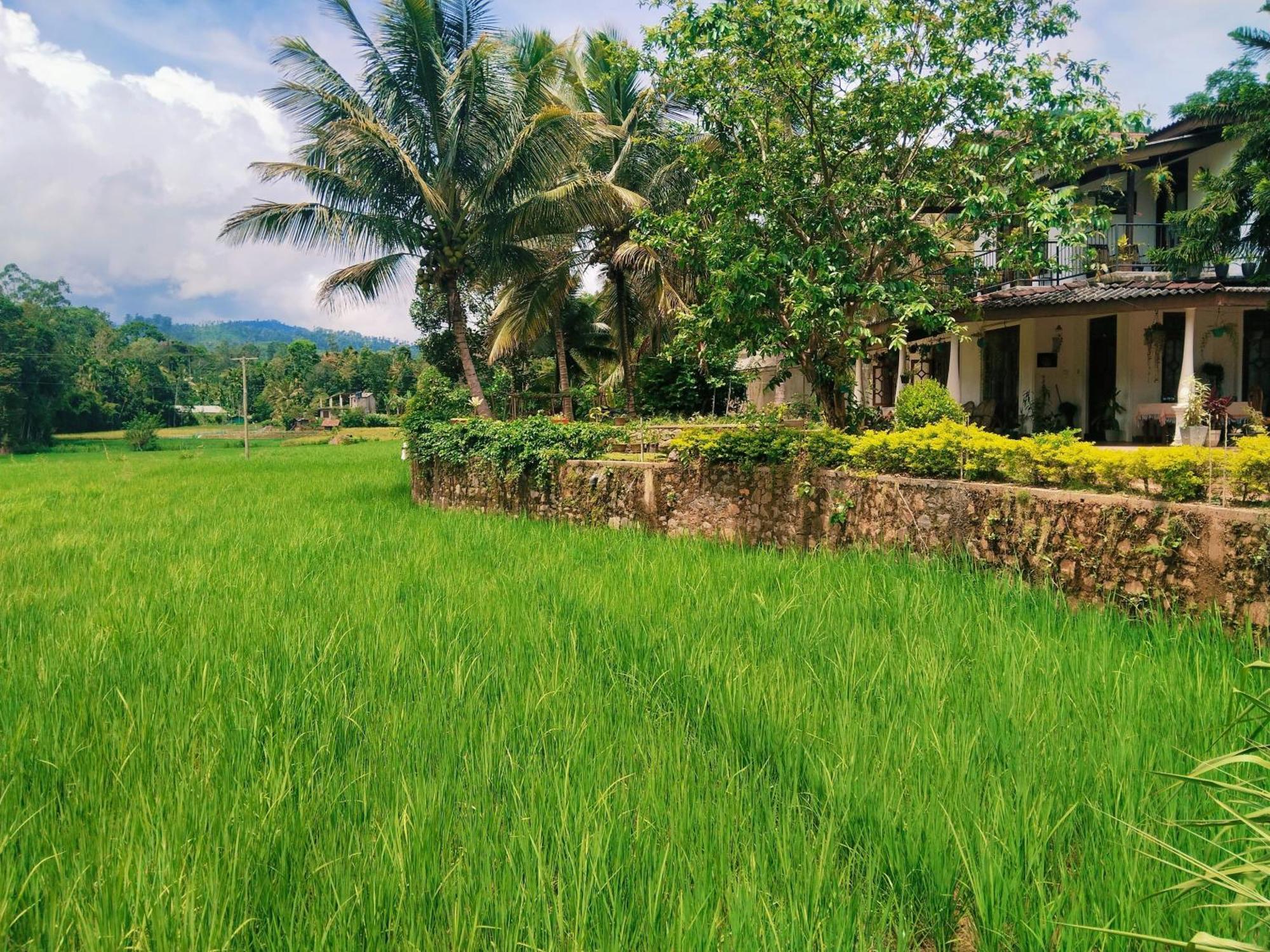 Ella Nature Valley Homestay Exteriér fotografie