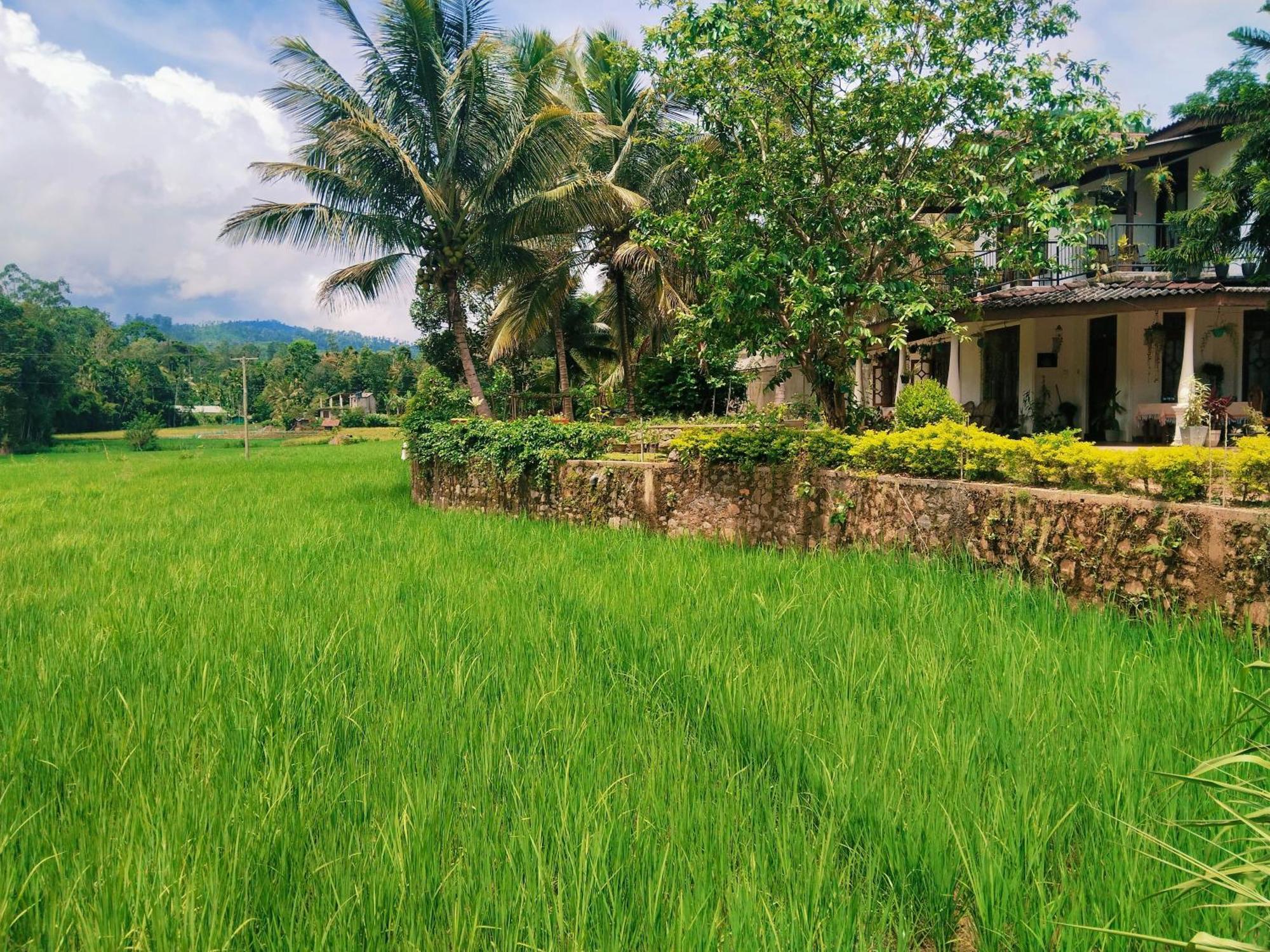 Ella Nature Valley Homestay Exteriér fotografie